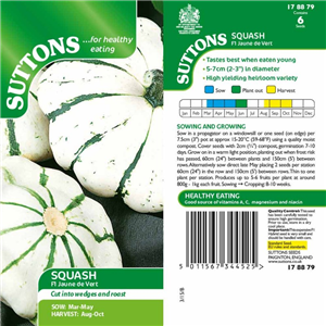 Squash Jaune et Vert